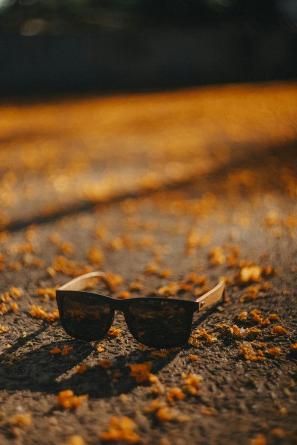 Marques de lunettes écoresponsables : mode et durabilité unies